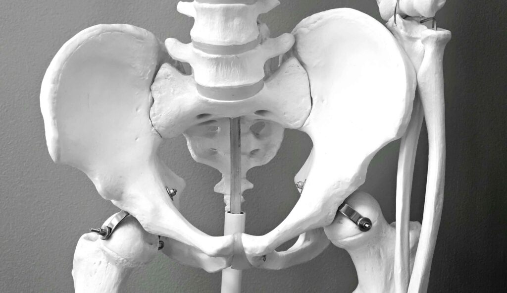 Anatomy of the sacrum to understand Sacral Osteomyelitis
